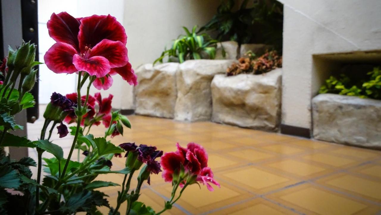 Hotel Mariscal Inn & Suite 쿠엔카 외부 사진
